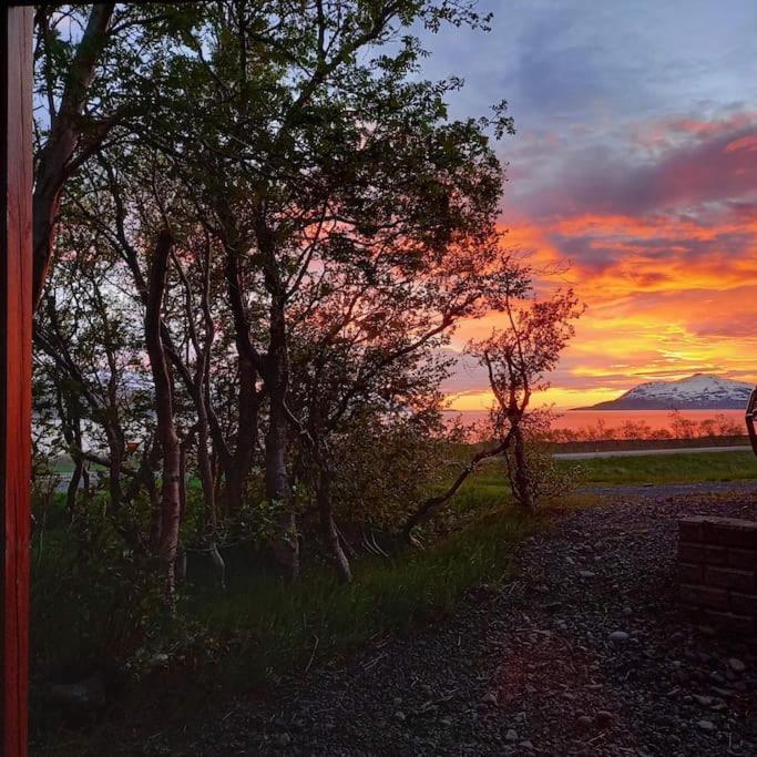 Þorsmoerk Farm 12 Min From Akureyri Svalbarthseyri Exterior foto